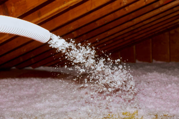 Trusted Poplar Grove, IL Insulation Contractor Experts