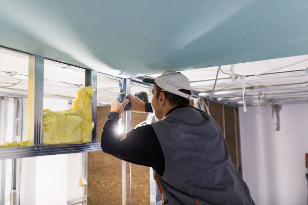 Best Spray Foam Insulation in Poplar Grove, IL