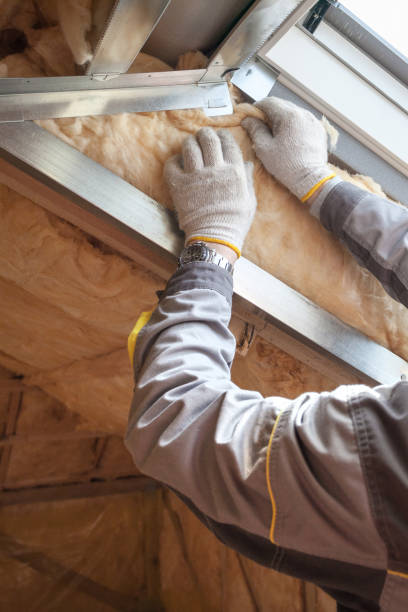 Best Commercial Insulation in Poplar Grove, IL